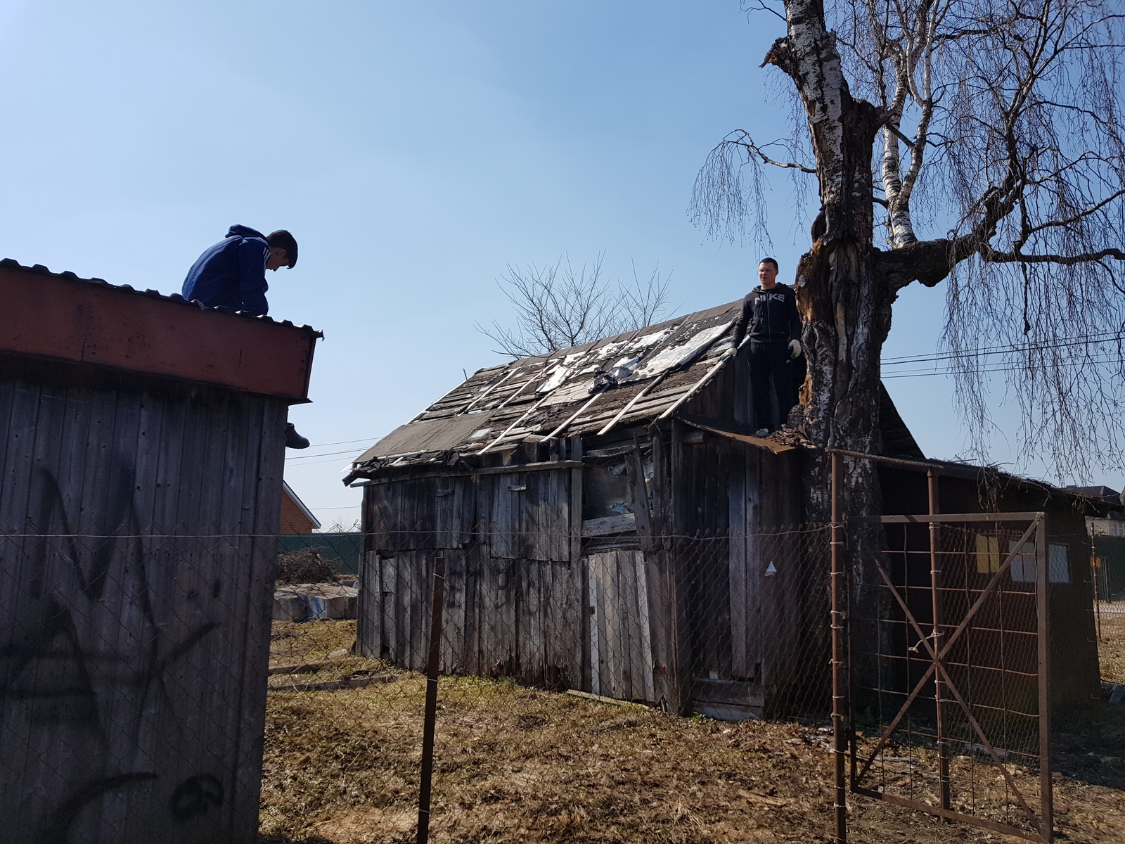 Removed 18 bags of garbage in the village - My, Chistoman, Garbage, Cleaning, Saturday clean-up, Clean forest, Purity, Pig, Longpost