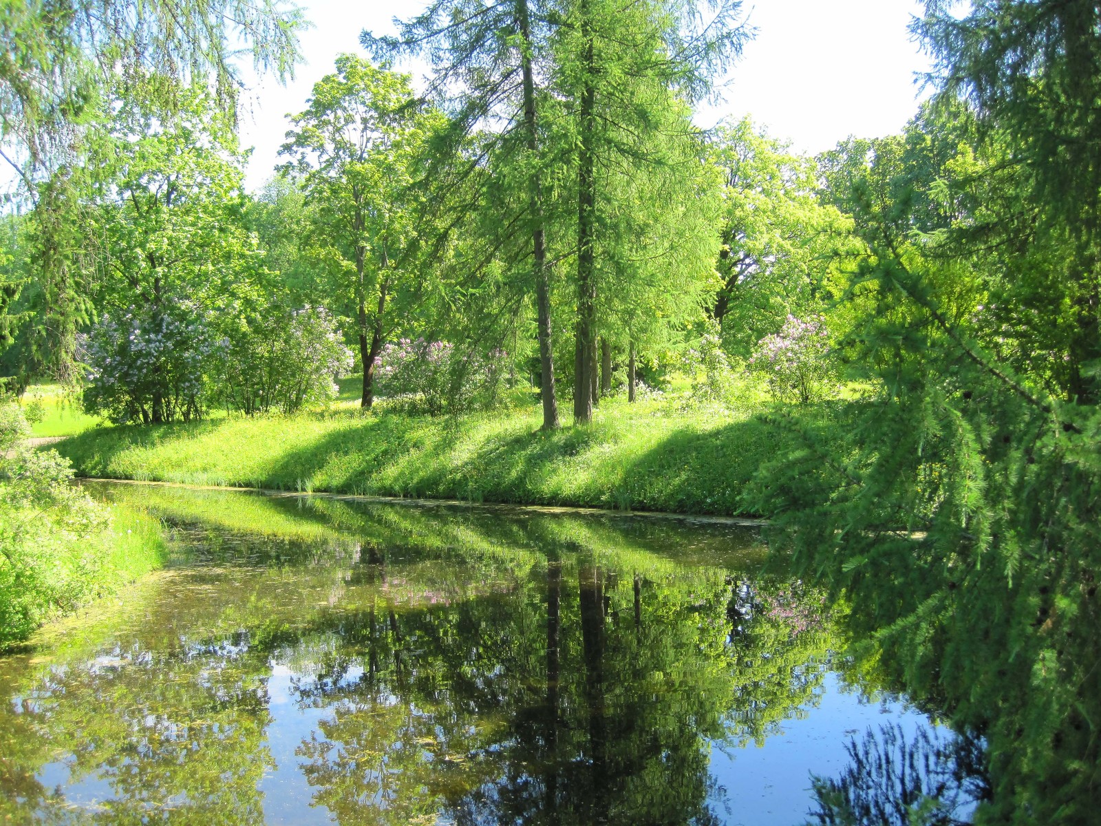 Красота, которая обычно за кадром. Екатерининский парк - Царское село. - Моё, Царское село, Пушкин, Екатерининский парк, Отдых, Природа, Красота, Длиннопост