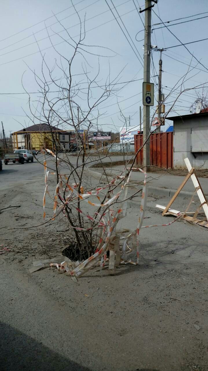 Безопасность на дорогах. - Моё, Российские дороги, Безопасность, Длиннопост