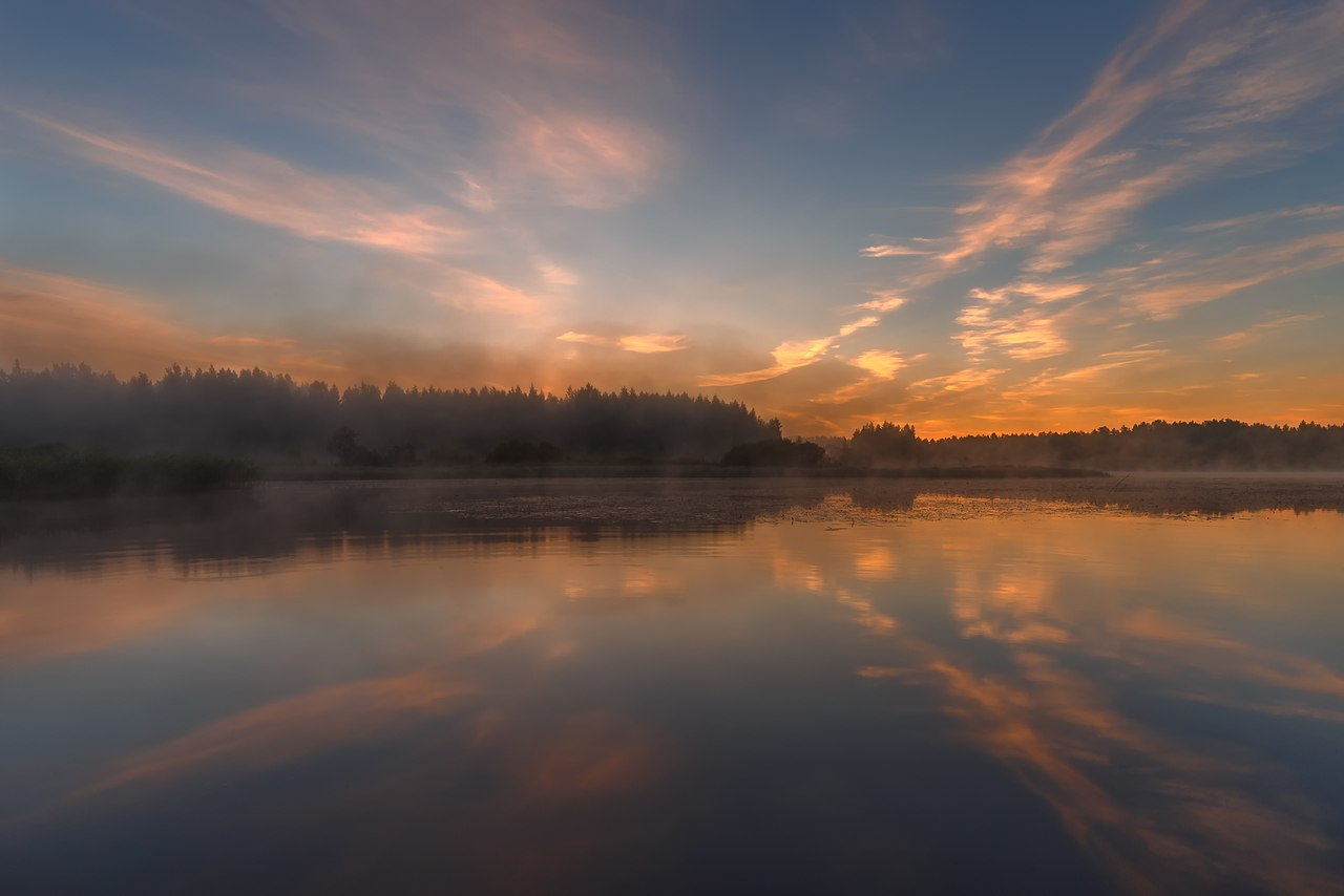 Leningrad region. - The photo, Nature, Leningrad region, Longpost