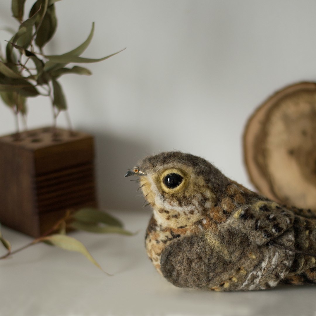 African pennant nightjar. dry felting - My, Nightjar, Dry felting, Needlework without process, , Birds, Longpost