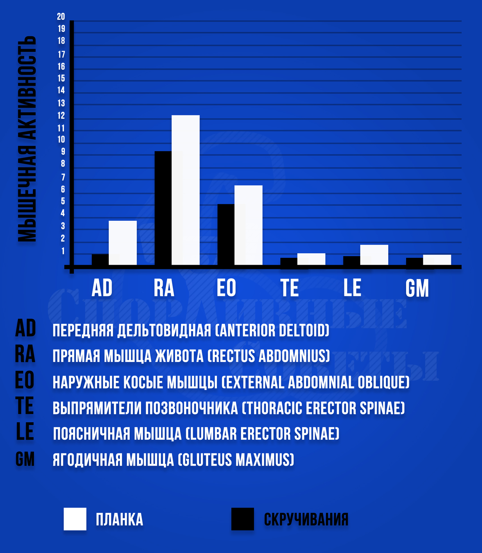 Plank crunches - My, Sport, Тренер, Sports Tips, Research, Plank, Press, Muscle, Gym, Longpost