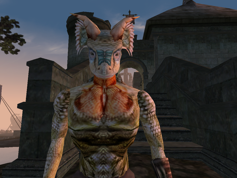 Need help with side quest in Morrowind - The elder scrolls, The Elder Scrolls III: Morrowind, Morrowind, Help, Bug