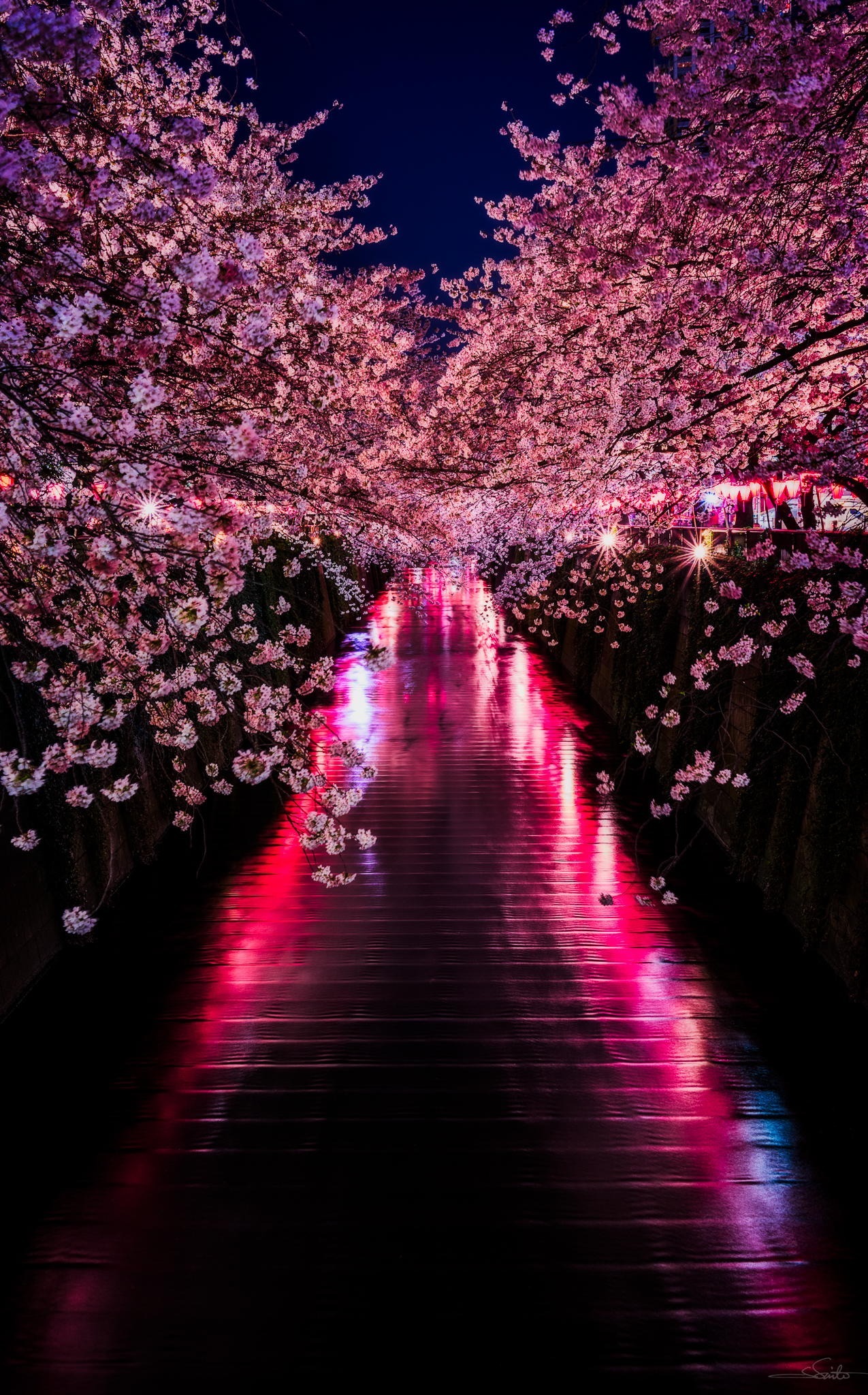 Meguro - a river dotted with sakura - Japan, Tokyo, Sakura, Flowers, The photo, Unusual, Beautiful, Longpost