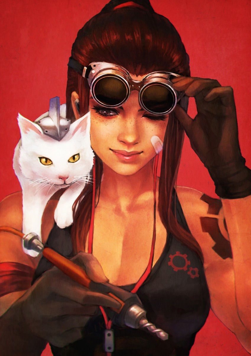 Overwatch art - Overwatch, Blizzard, Art, Brigitte