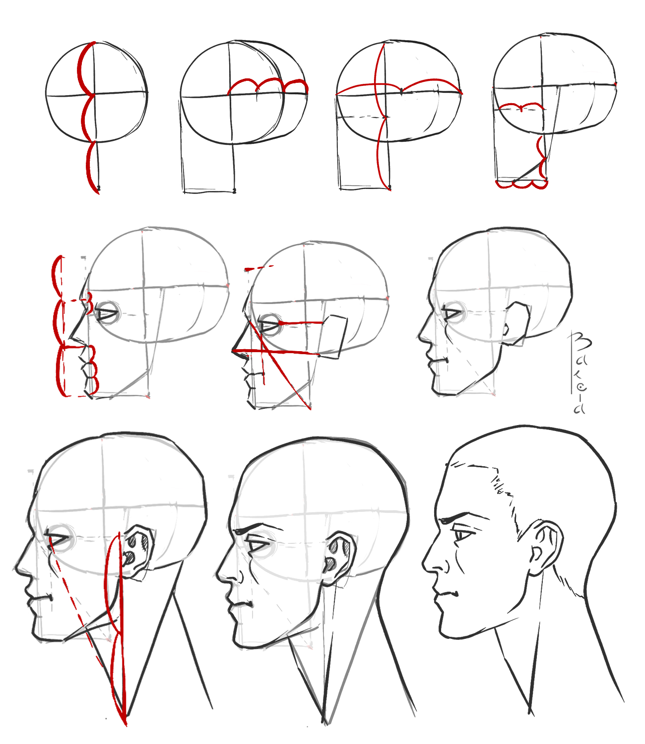 Как нарисовать голову спереди или в анфас