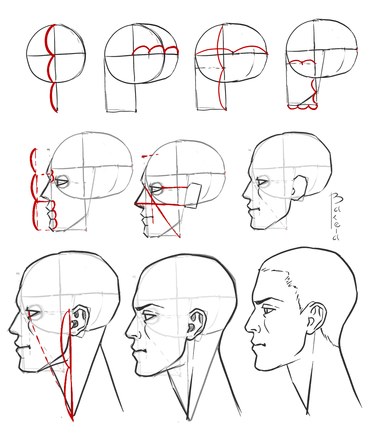 Голова пошагово. Схема построения головы сбоку. Построение лица сбоку. Лицо видо с боку референц\. Профиль сбоку референс.