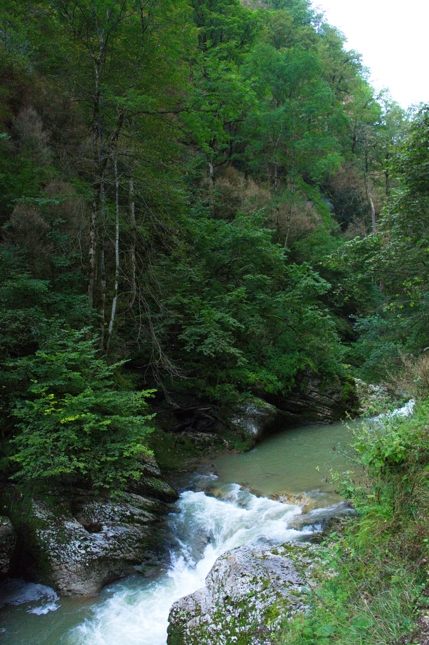 Guam Gorge. Lagonaki Highlands - My, The photo, Guam gorge, , Longpost