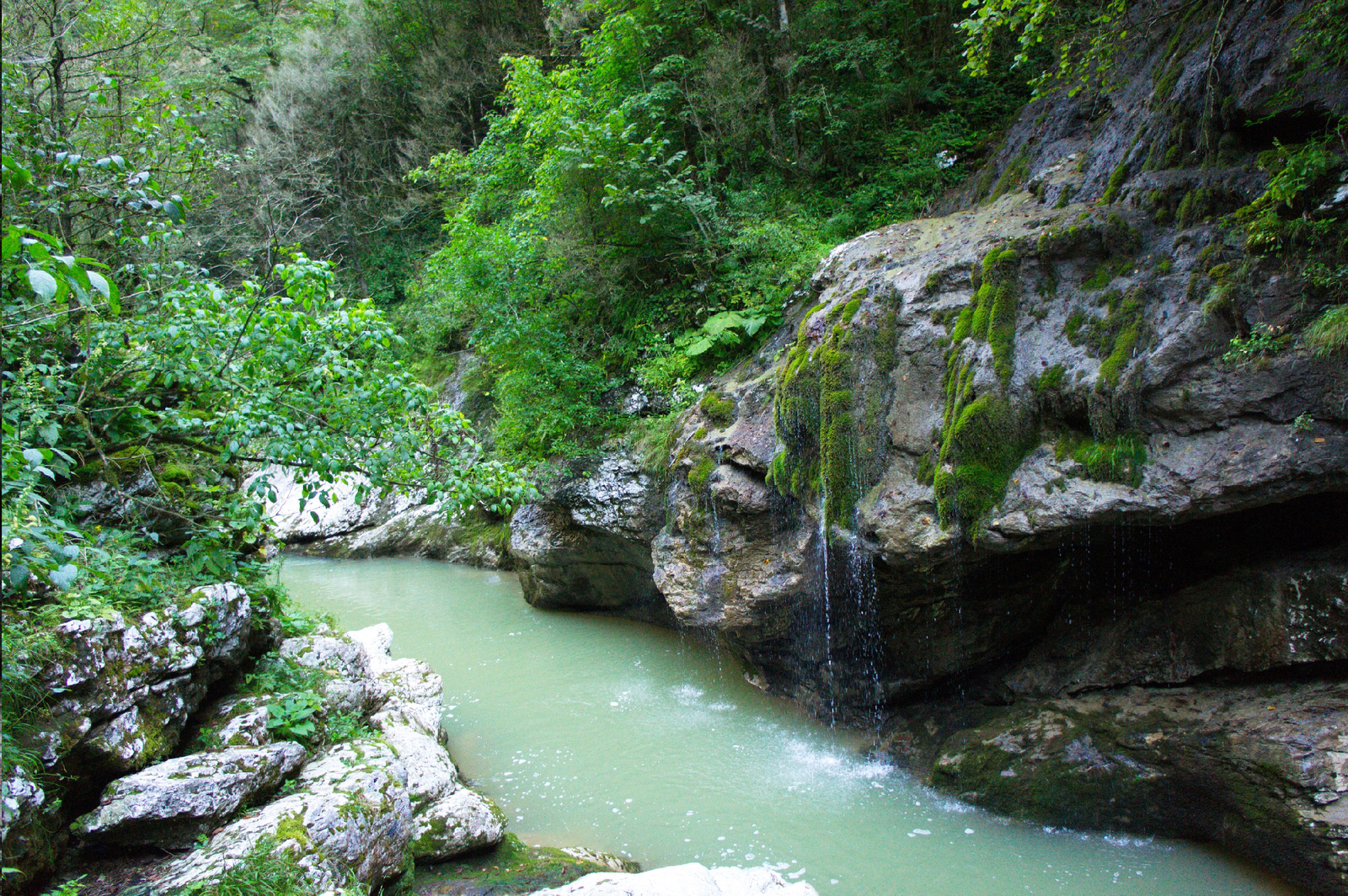 Guam Gorge. Lagonaki Highlands - My, The photo, Guam gorge, , Longpost