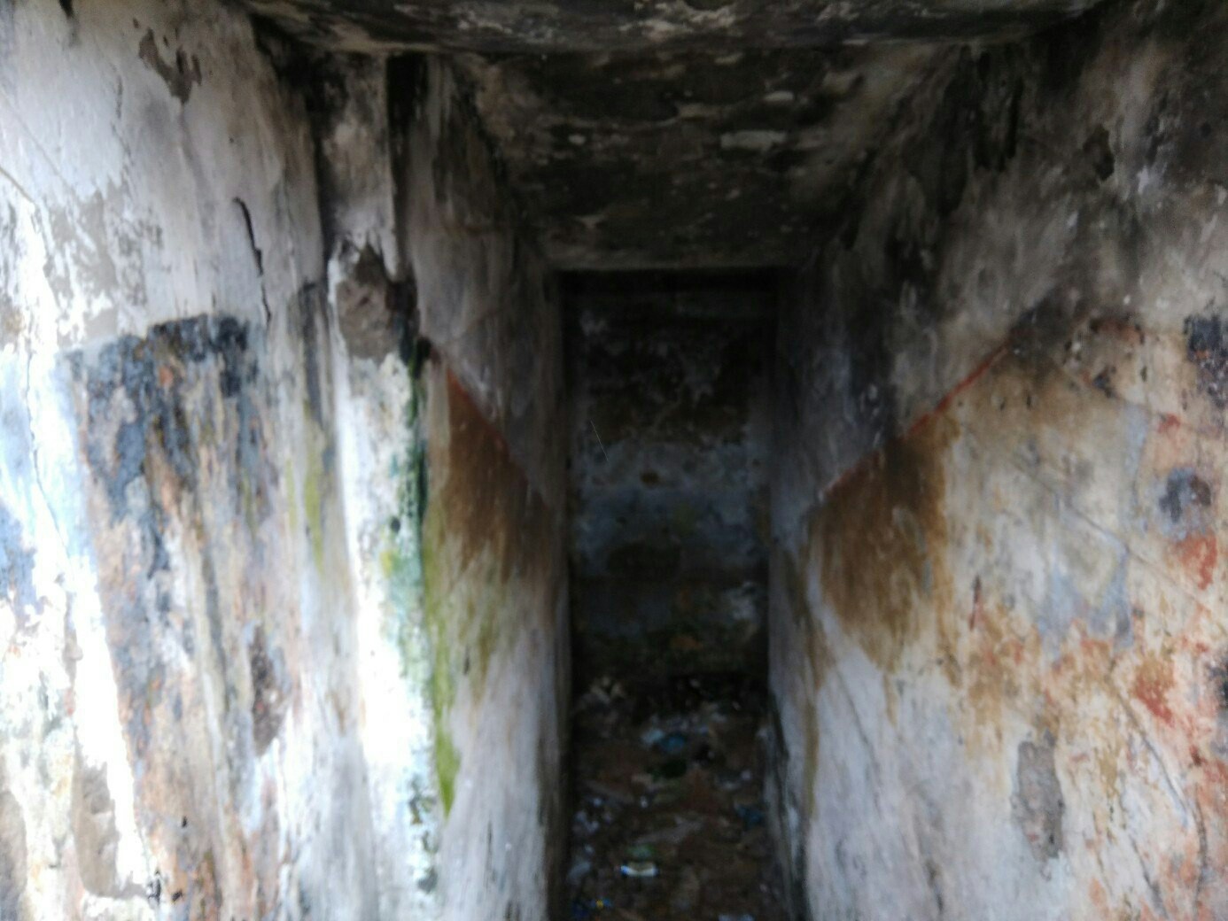 Baltic casemates. - Abandoned, The photo, Longpost