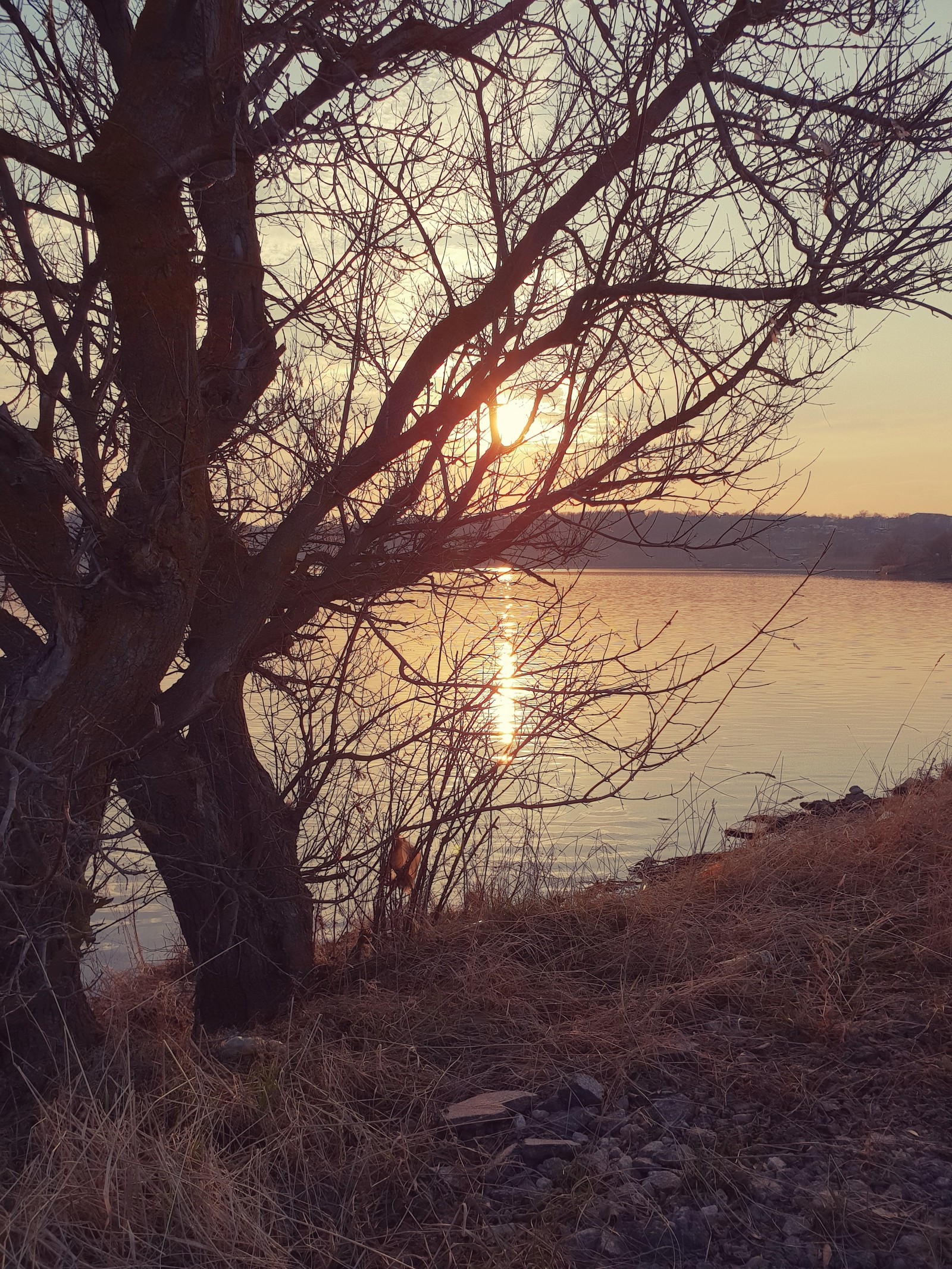 Spring at the reservoir. - My, Spring, Tula region, Sunset, Nature, Water, Longpost