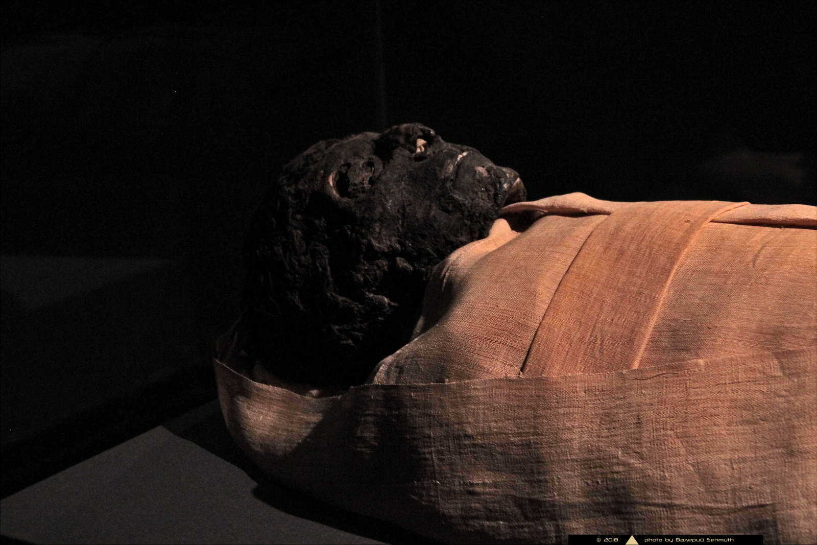 Museum of Ancient Egyptian Art in Luxor - My, Ancient Egypt, Museum, Pharaoh, Mummy, Egyptology, Story, Longpost