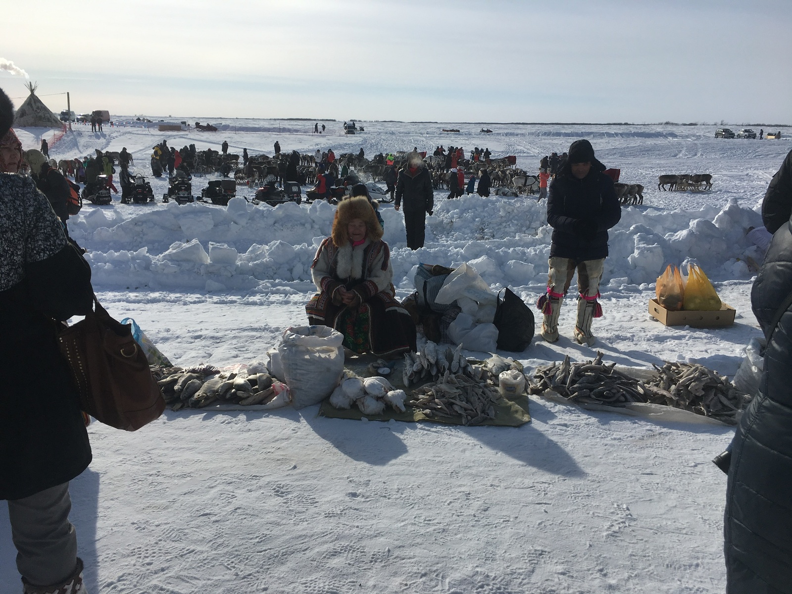 Day of the Reindeer Breeder (Salekhard) - Salekhard, Reindeer Herder's Day, The photo, Longpost