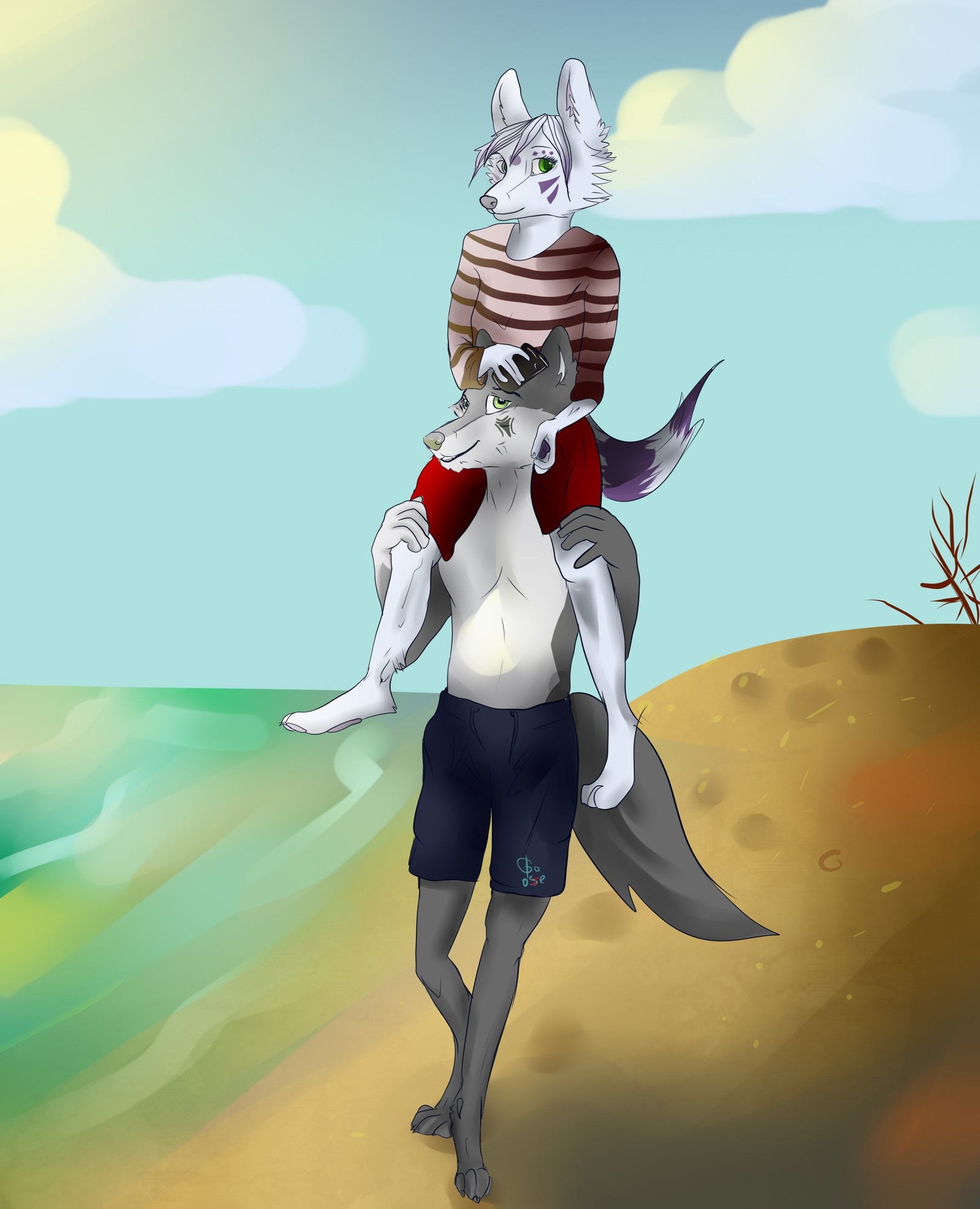 Walk - My, Furry wolf, Furry, Furry art, Wolf, Beach