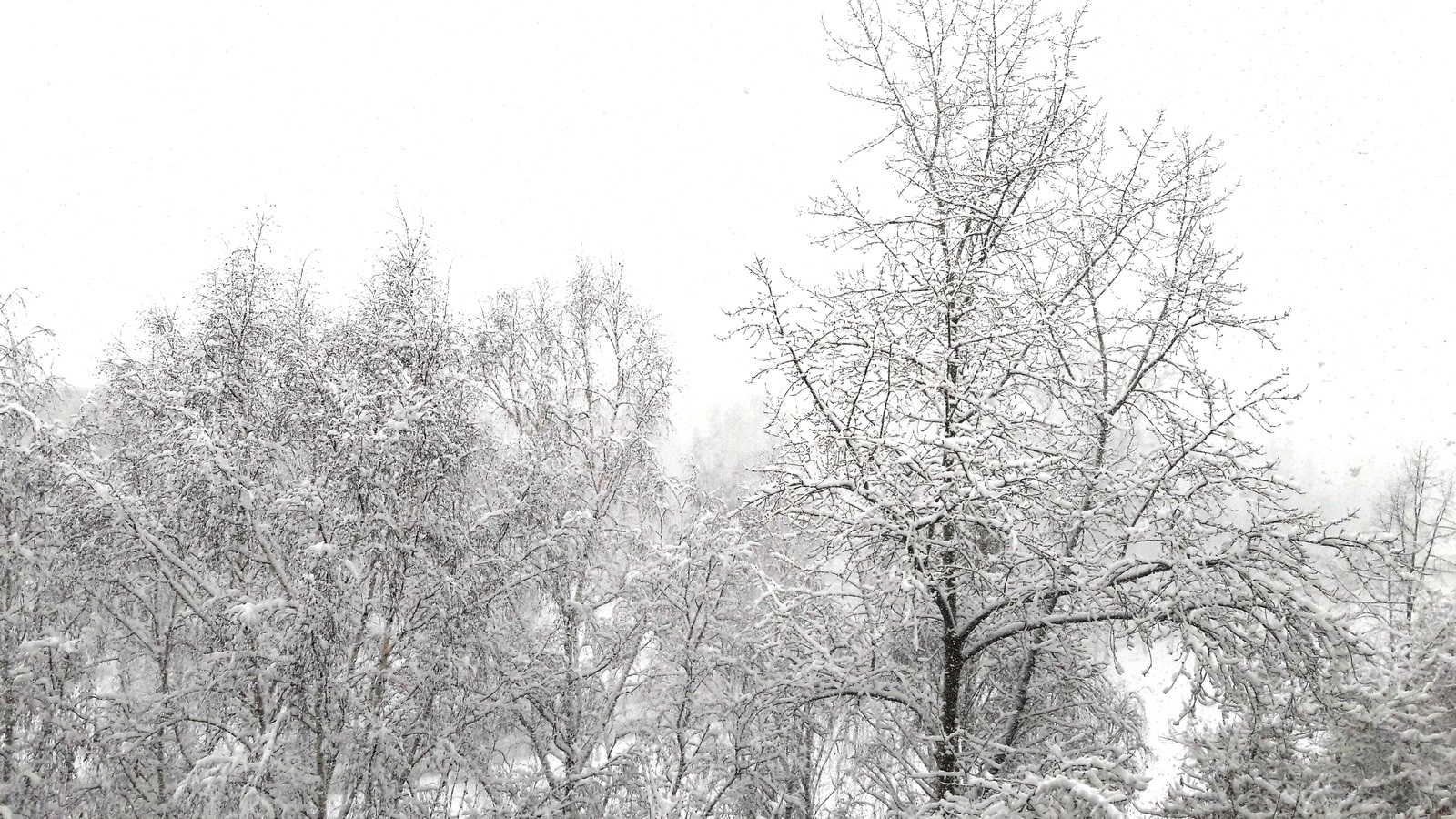 Yekaterinburg in April - My, Yekaterinburg, Snow, April