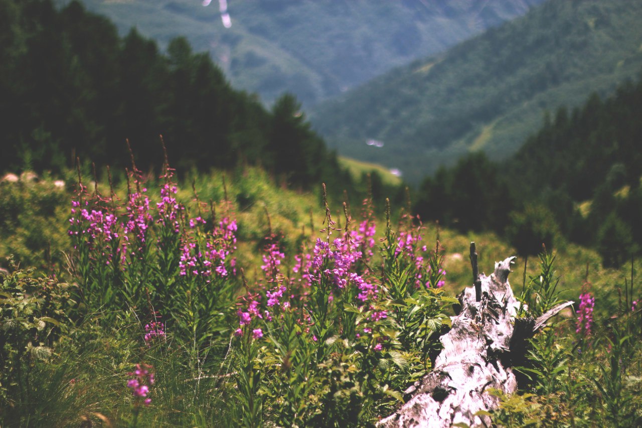 Elbrus - My, Elbrus, The mountains, , Travels, Longpost