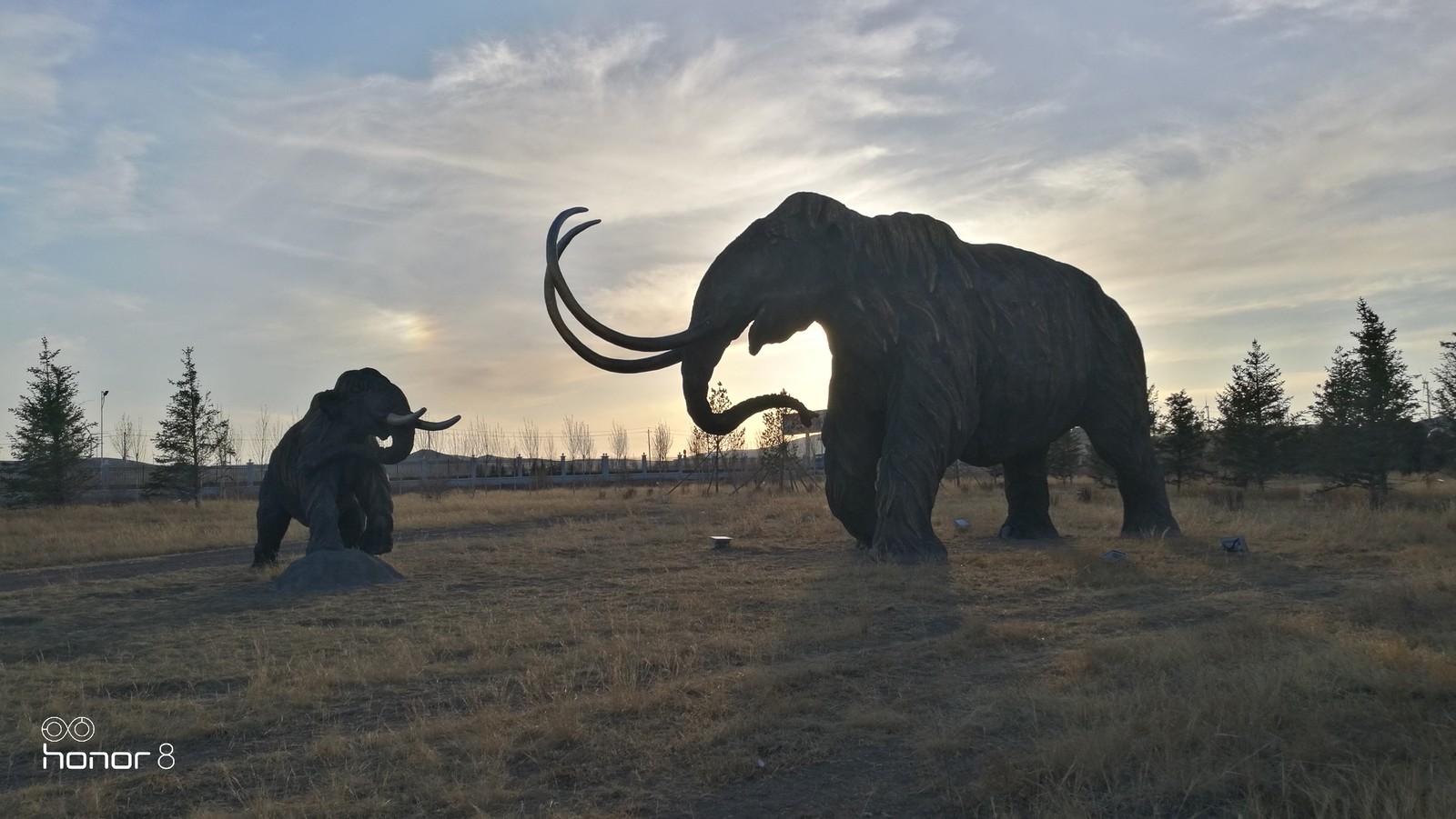 Mammoth Park Manchuria (inner mongolia) - My, Mammoth, China, Longpost, The park