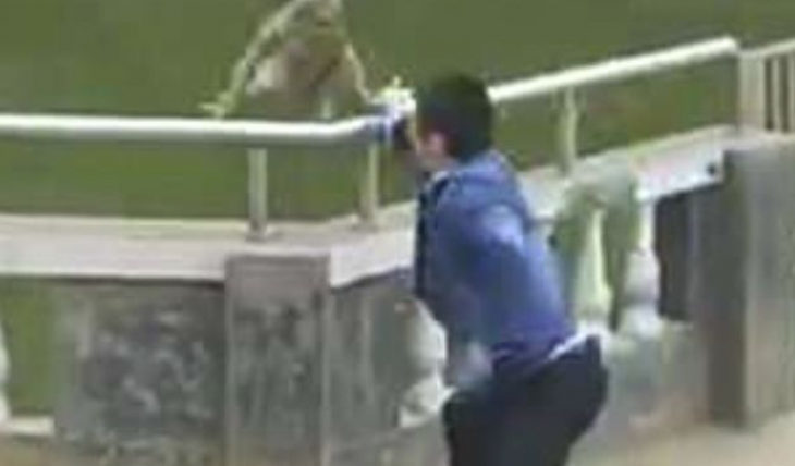 Tourist pushes monkey into water and gets tough response - Monkey, China, Zoo, Bravery and stupidity, Longpost