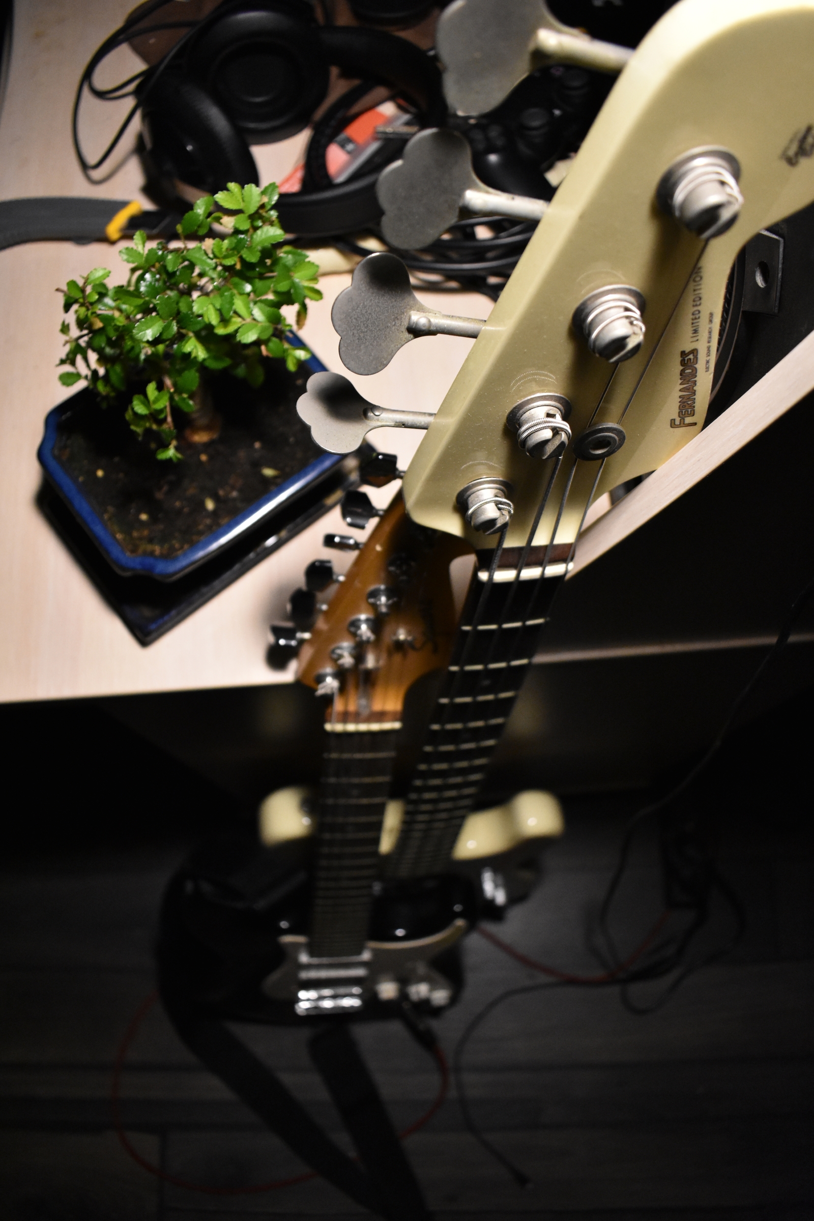 Another photo post. - My, Bass, Guitar, Bonsai, , The photo, Music, Longpost