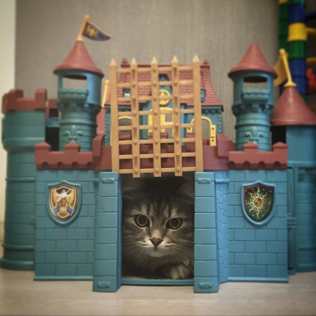 The owner of the castle. - cat, Lock