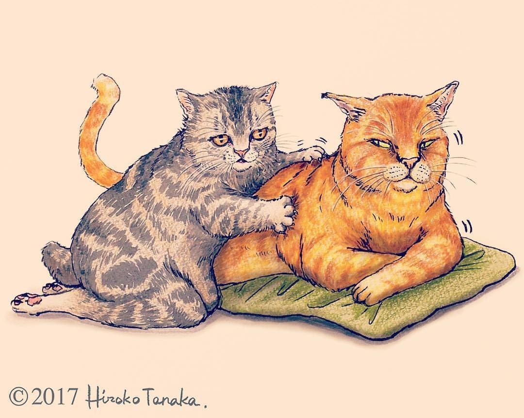 Gorgeous cats by Hiroko Tanaka - cat, Illustrations, Drawing, Animals, Portrait, Sketchbook, Longpost