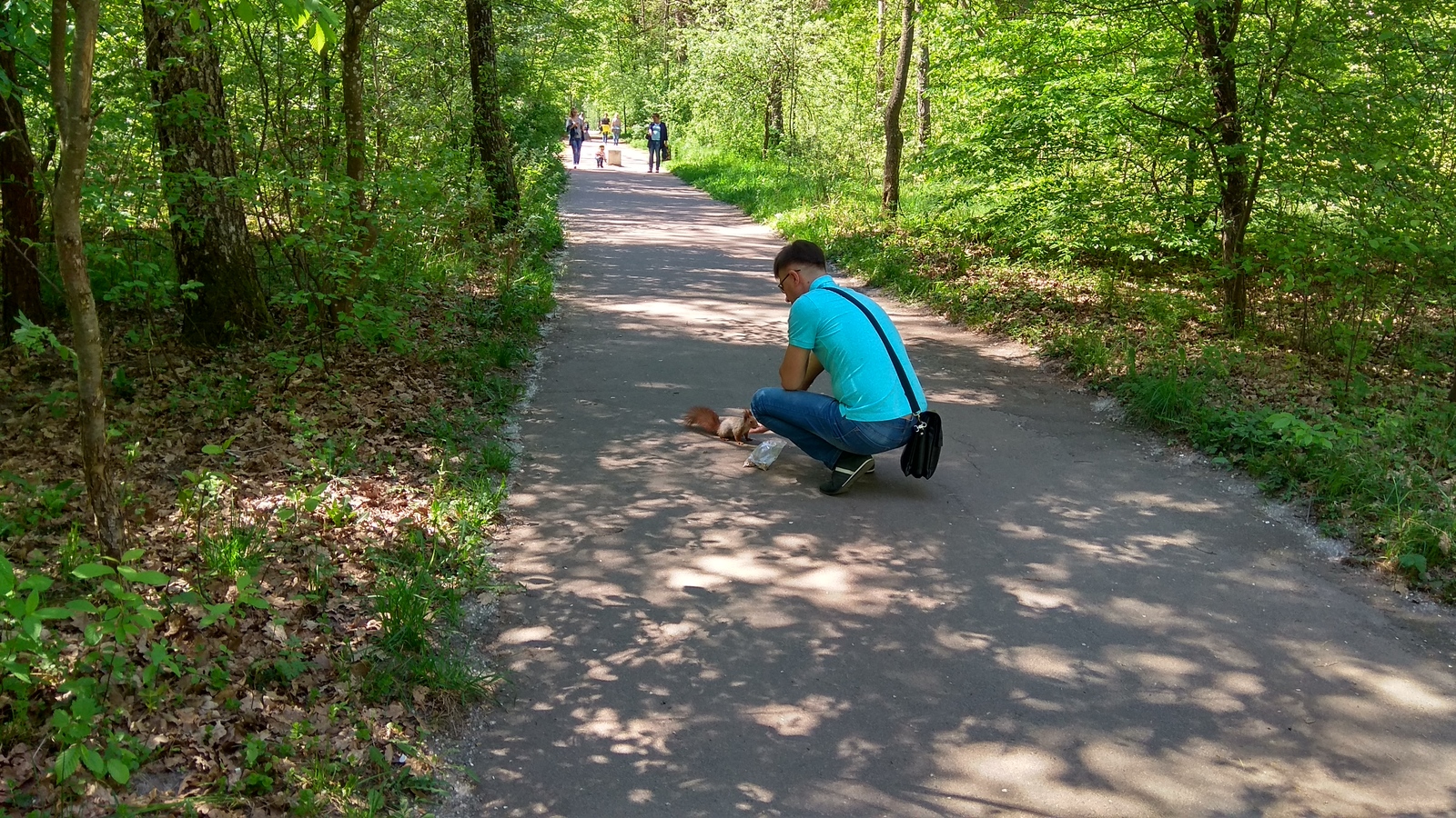 Walk in hydropark (Zhytomyr) - My, The photo, Hydropark, Nature, Mobile photography, Zhytomyr, Longpost, Squirrel, 