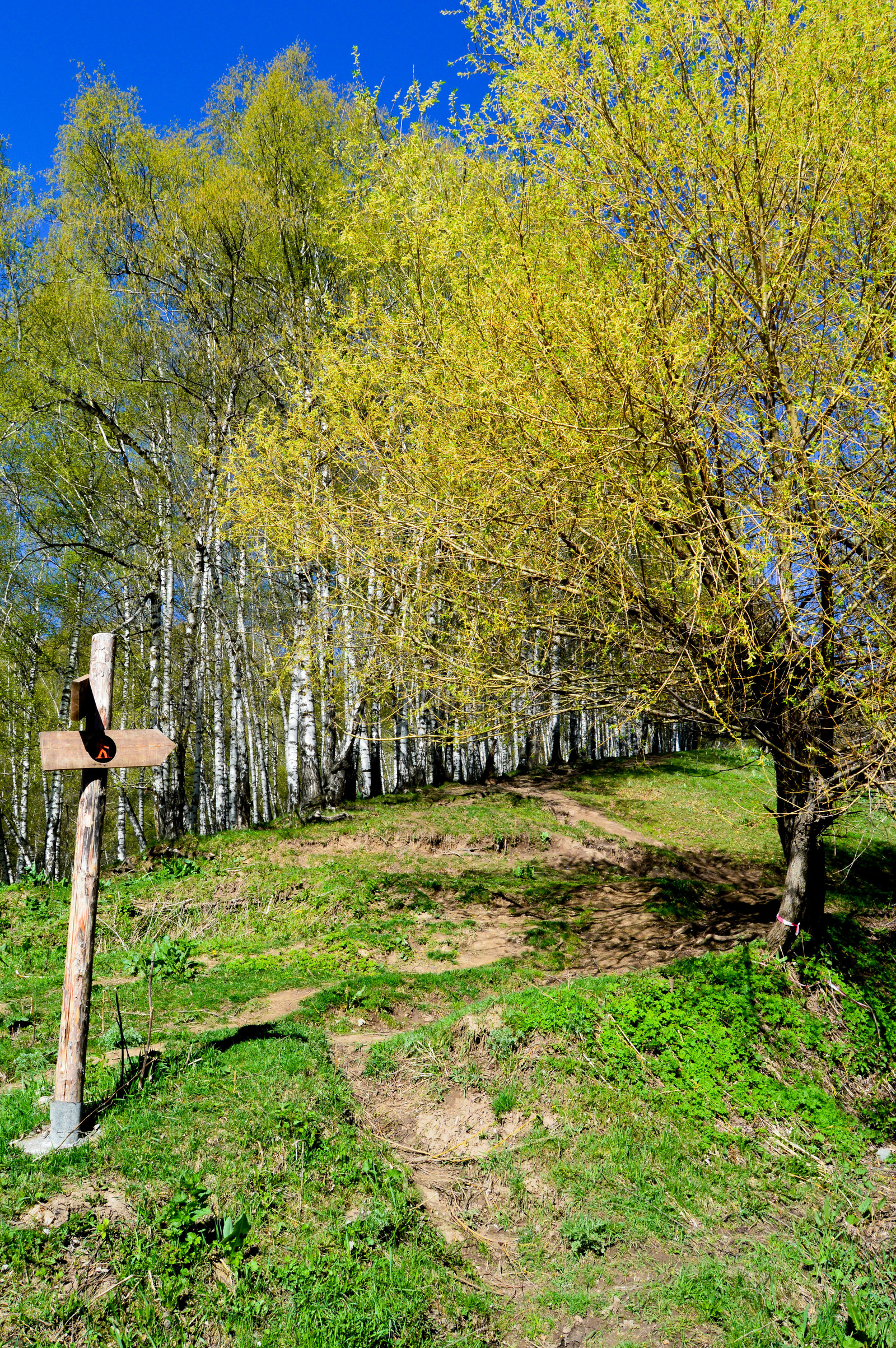 Weekend route Kok-Zhailau plateau, Almaty - My, Nature, The mountains, Longpost, Almaty, Nikon d3200