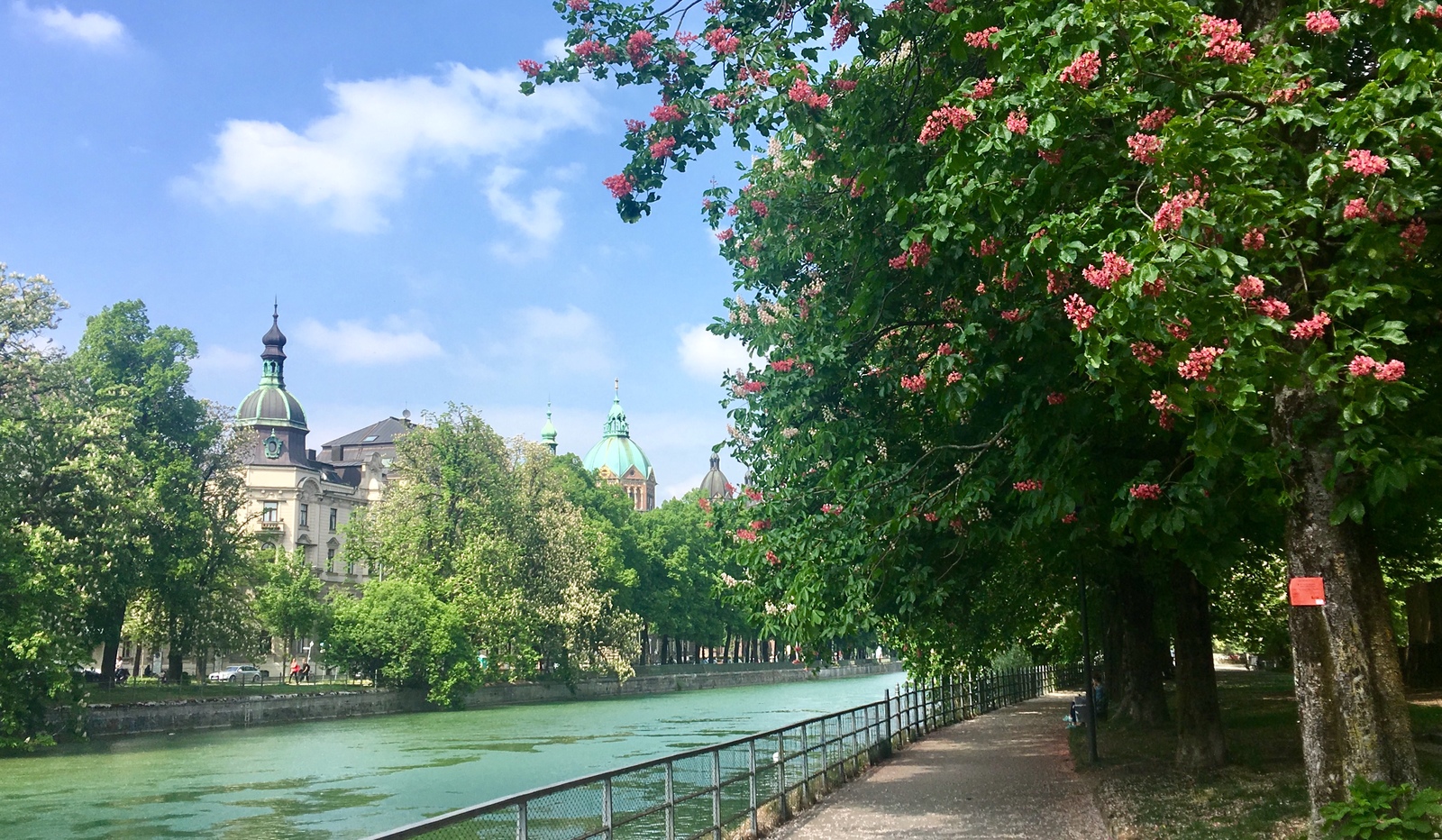 Blooming chestnuts - My, The photo, Munich, Chestnut, , Longpost, Spring, May