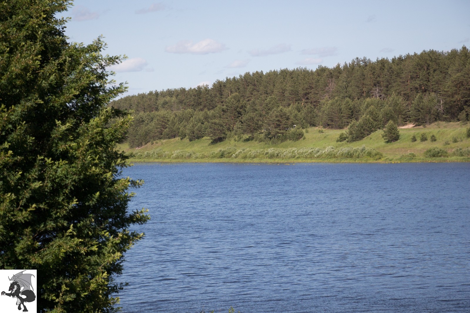 The beauty of the Tver region - My, Fishing, Tver, Nature, beauty of nature, Tver region, , , Longpost