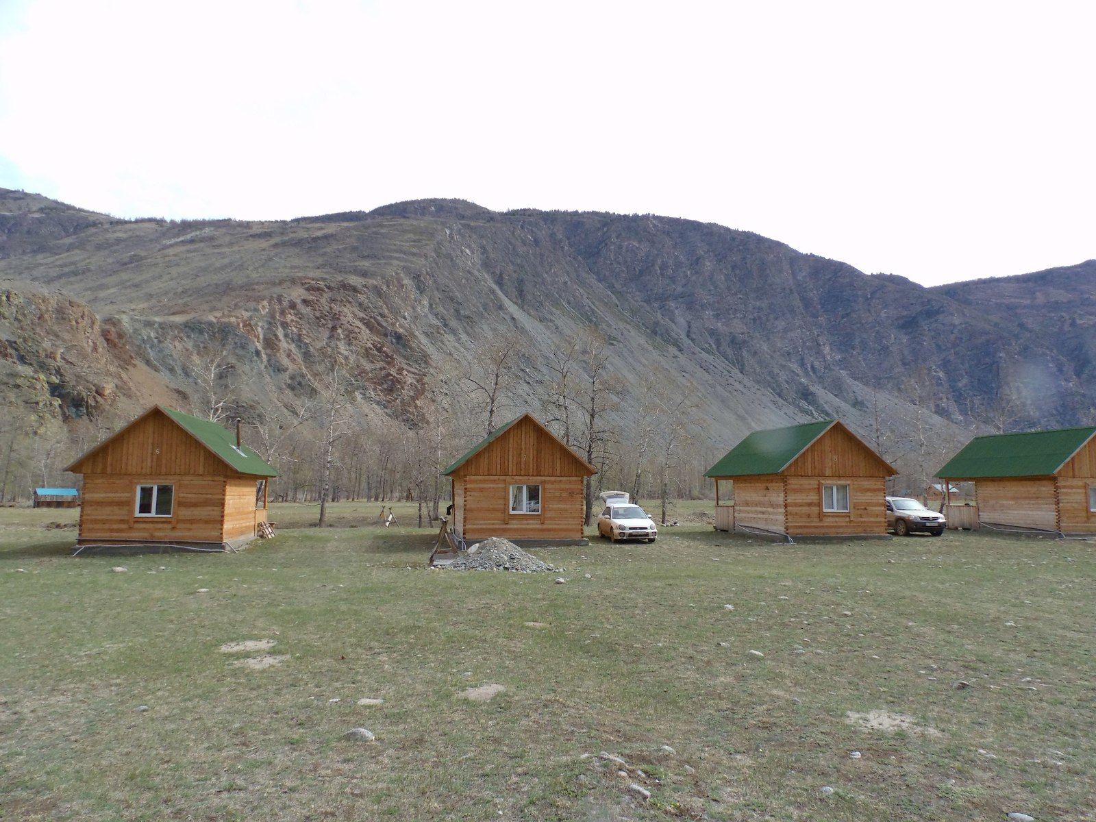 Maralnika flowering 2018 draft continued - My, Maralnik, Mountain Altai, Katu-Yaryk, Chulyshman Valley, Longpost, Altai Republic