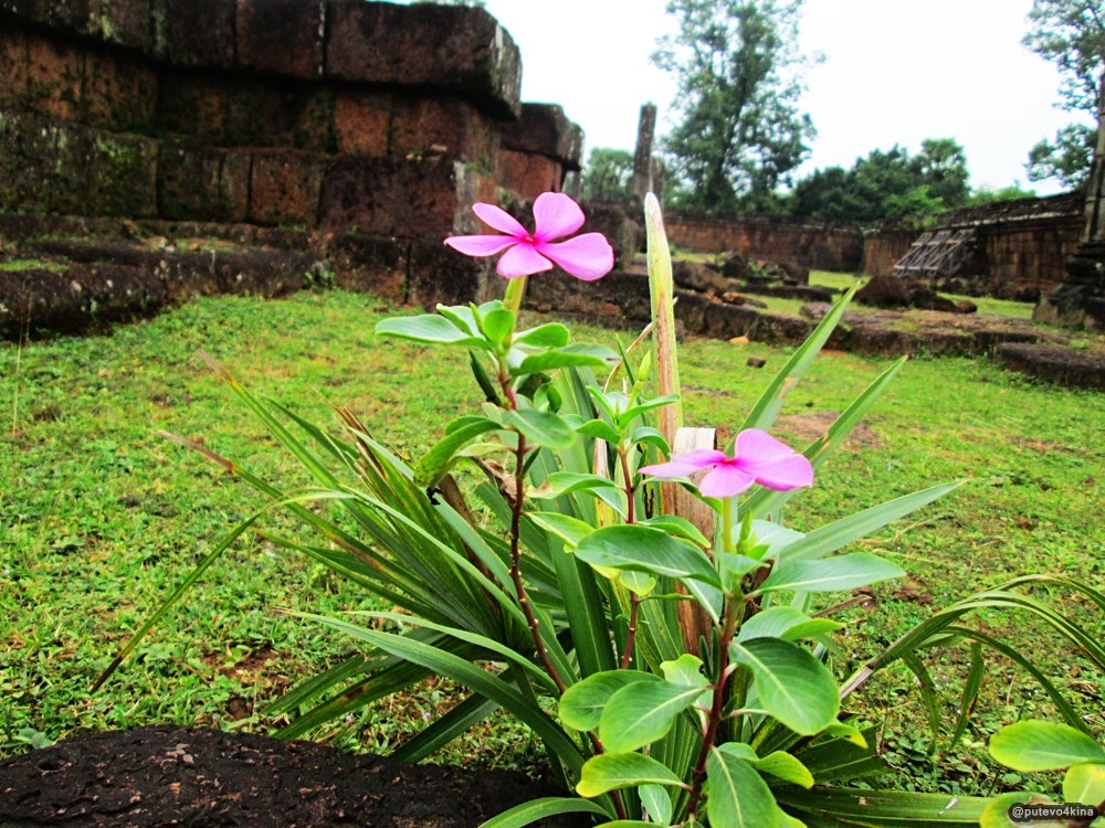 About Cambodia (Angkor) - My, Cambodia, Guide, Travels, , Longpost