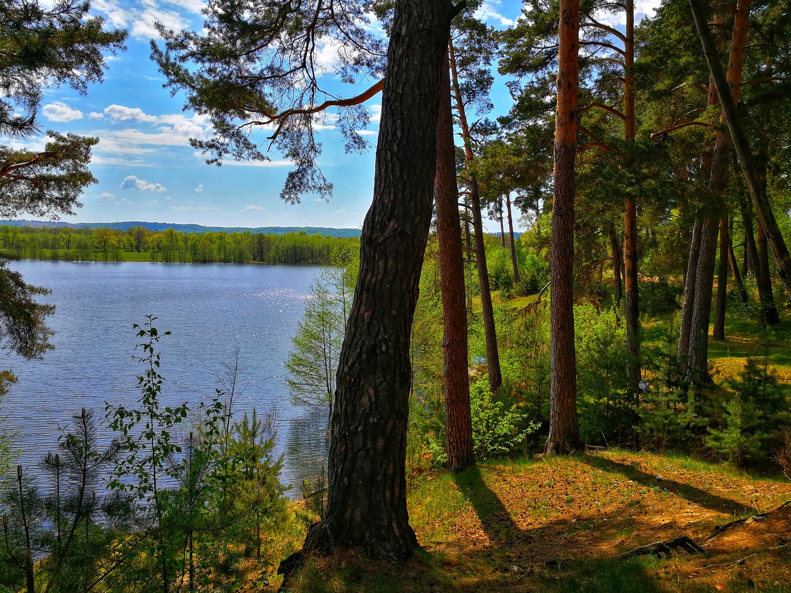 Mini bike ride - My, Longpost, Nature, The photo, Dzerzhinsk, Canon, Huawei mate 9