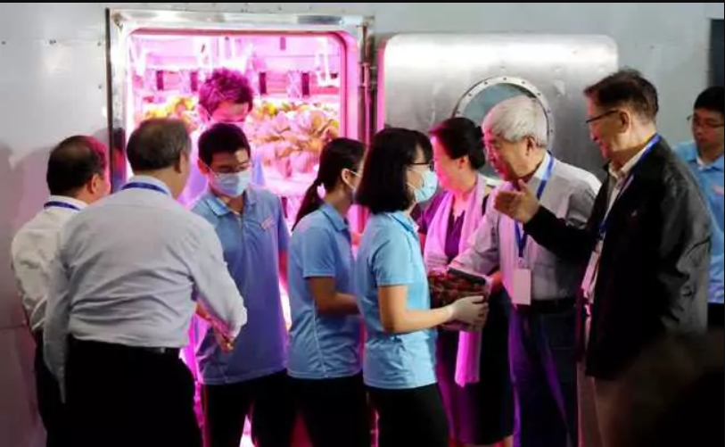 After 110 days of isolation, Chinese volunteers left the artificial Lunar Lab - Space, moon, Research, Experiment, China, Martian, Longpost