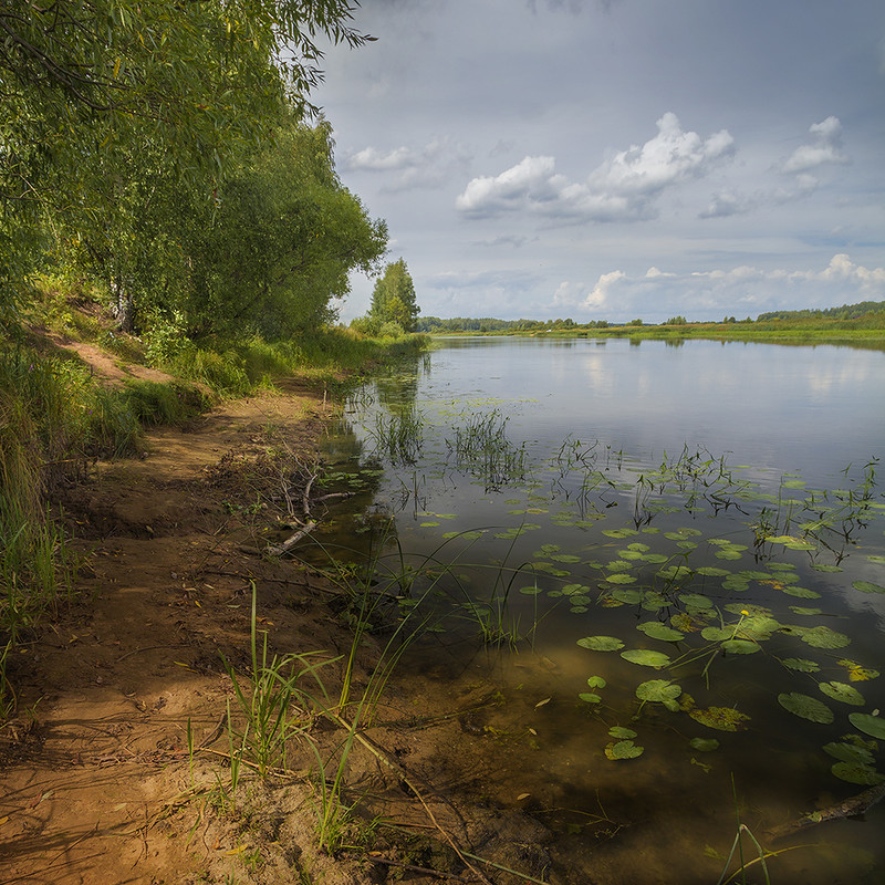 Yaroslavl region - Yaroslavskaya oblast, Nature, Summer, River