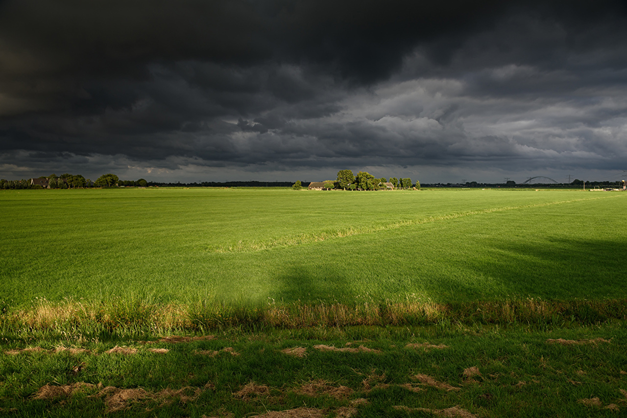 Before the storm - Field, Nature, Thunderstorm, beauty