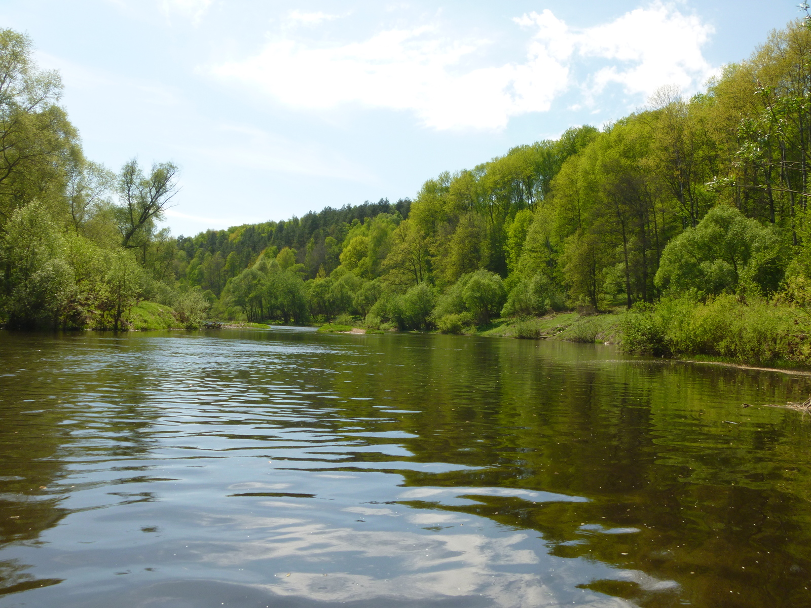 May fishing - My, Fishing, Chub, Longpost