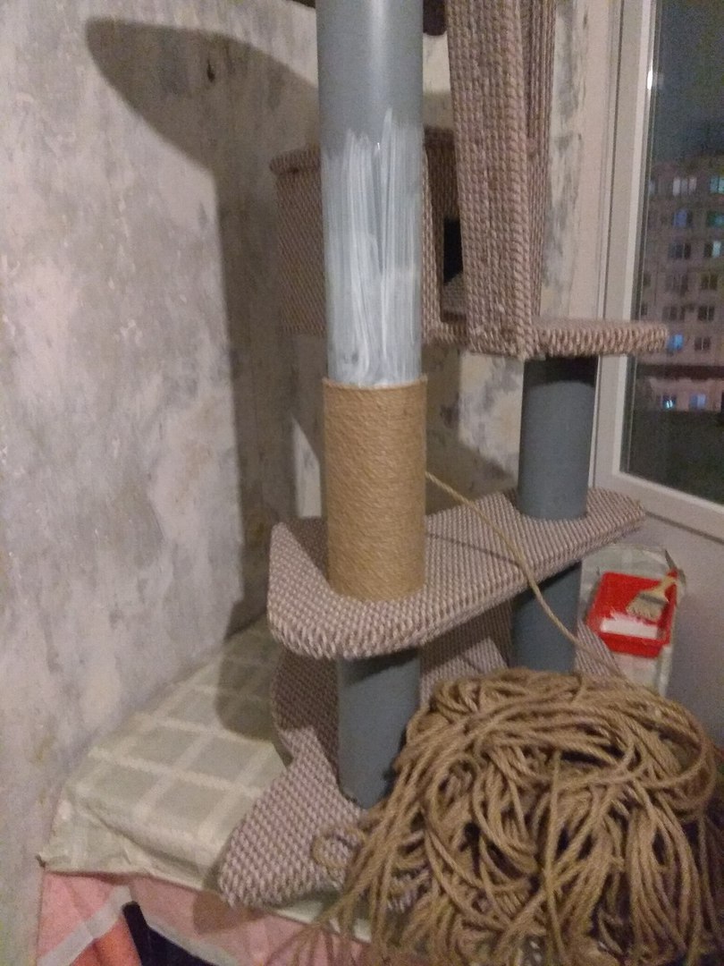 Do-it-yourself cat scratching post house - cat, British cat, Scottish lop-eared, Scratching post, Longpost