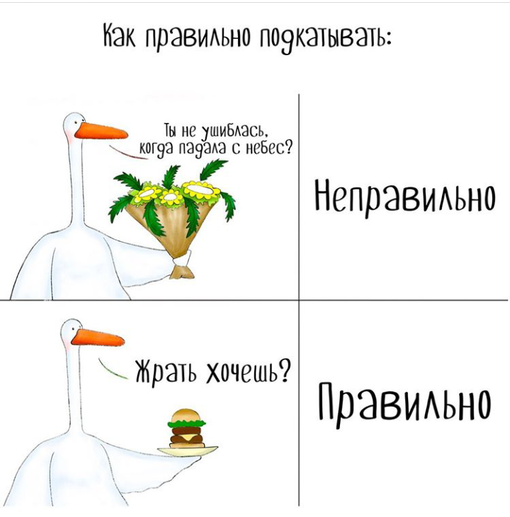 The way to the woman, through the stomach. - Fast food, Meat, Love, Гусь