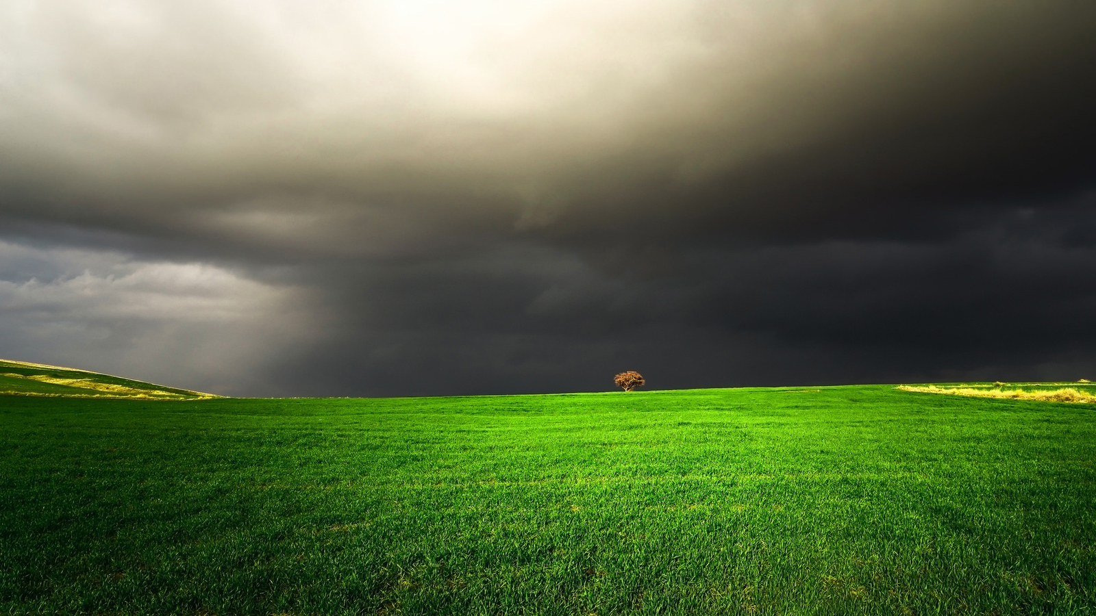 Before the storm - Nature, beauty, Thunderstorm, Field