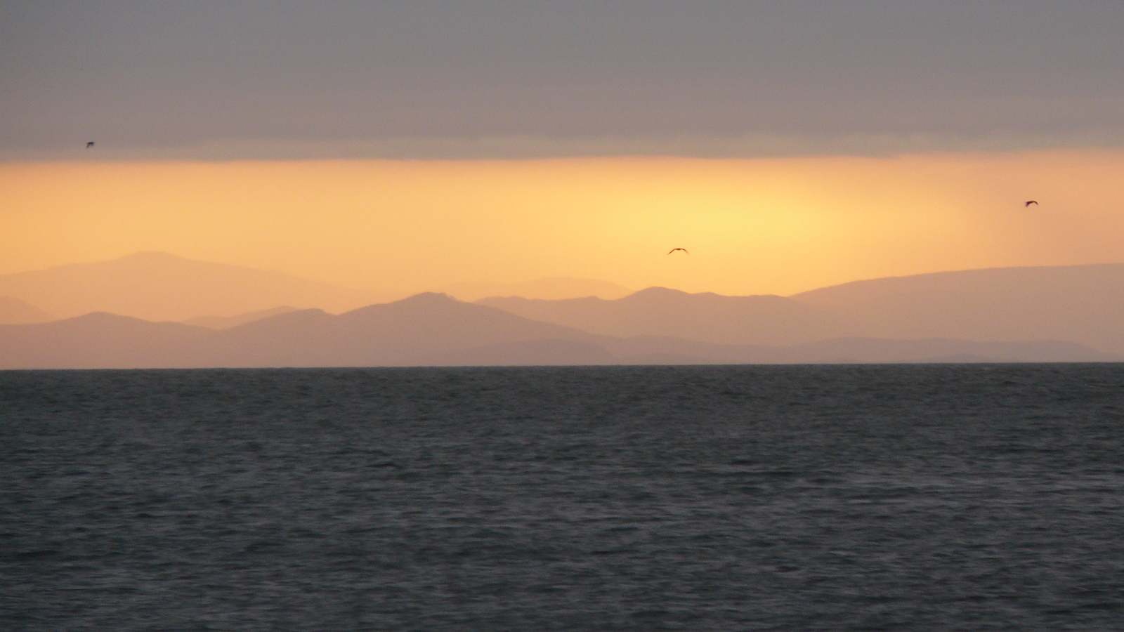 Voskhod, Russky Island, Vladivostok - My, Sunrise, Summer, Vladivostok, Longpost