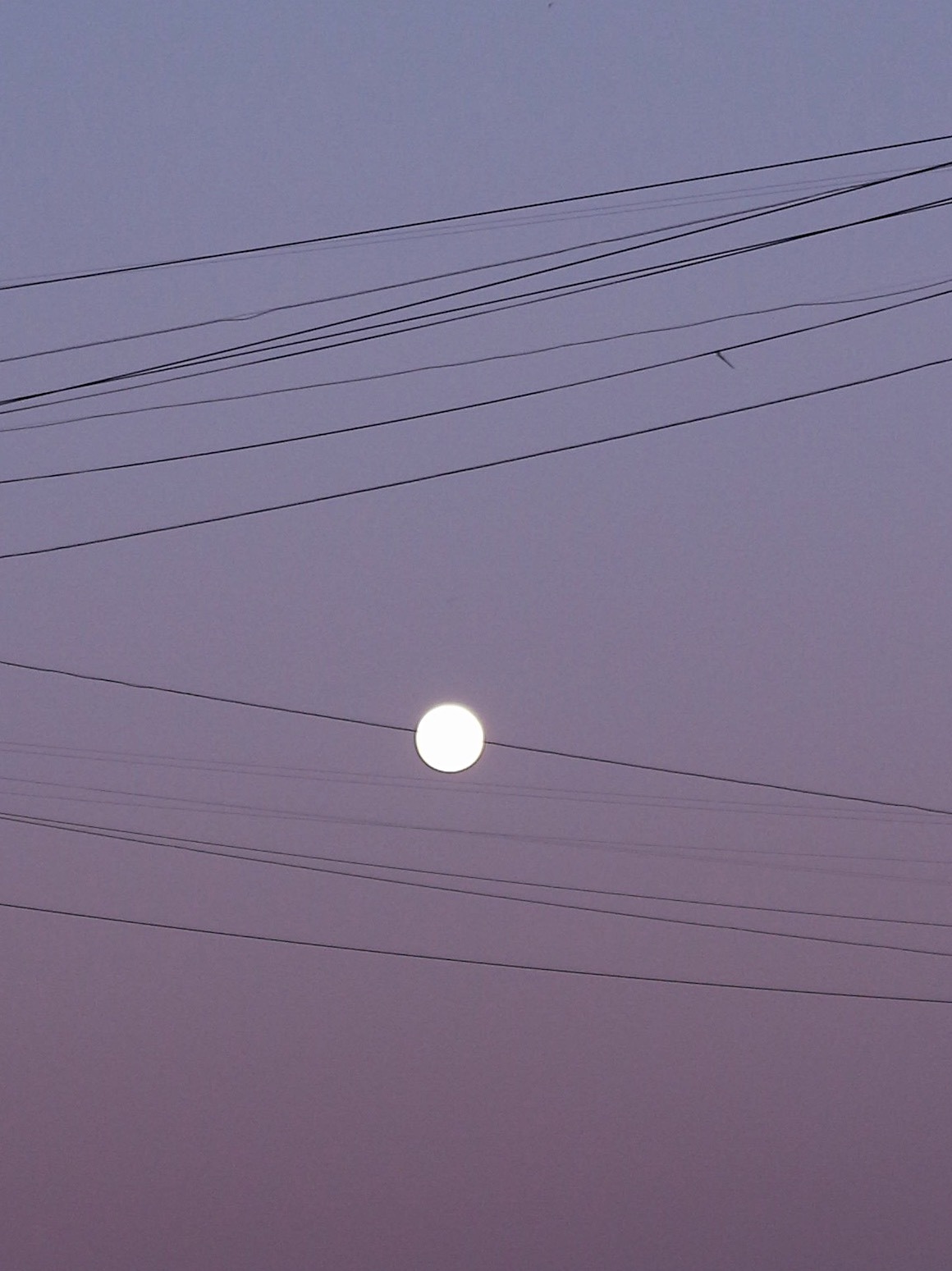 Hello, the moon is on the wire - My, Sky, moon, Evening, Successful angle, Illusion, The photo, Longpost