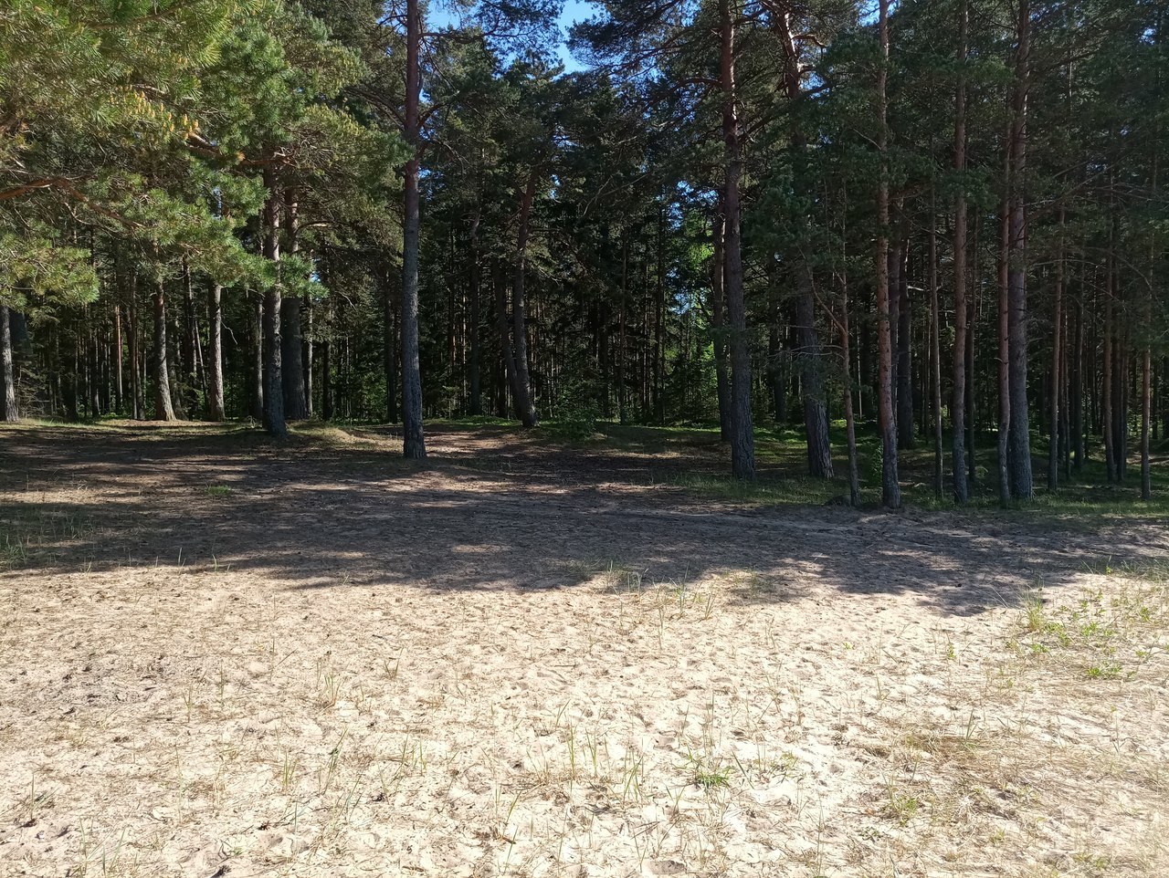 harvest raid - My, Cleaning, Garbage, Beach, First long post, Saturday clean-up, Initiative, Longpost, Saint Petersburg