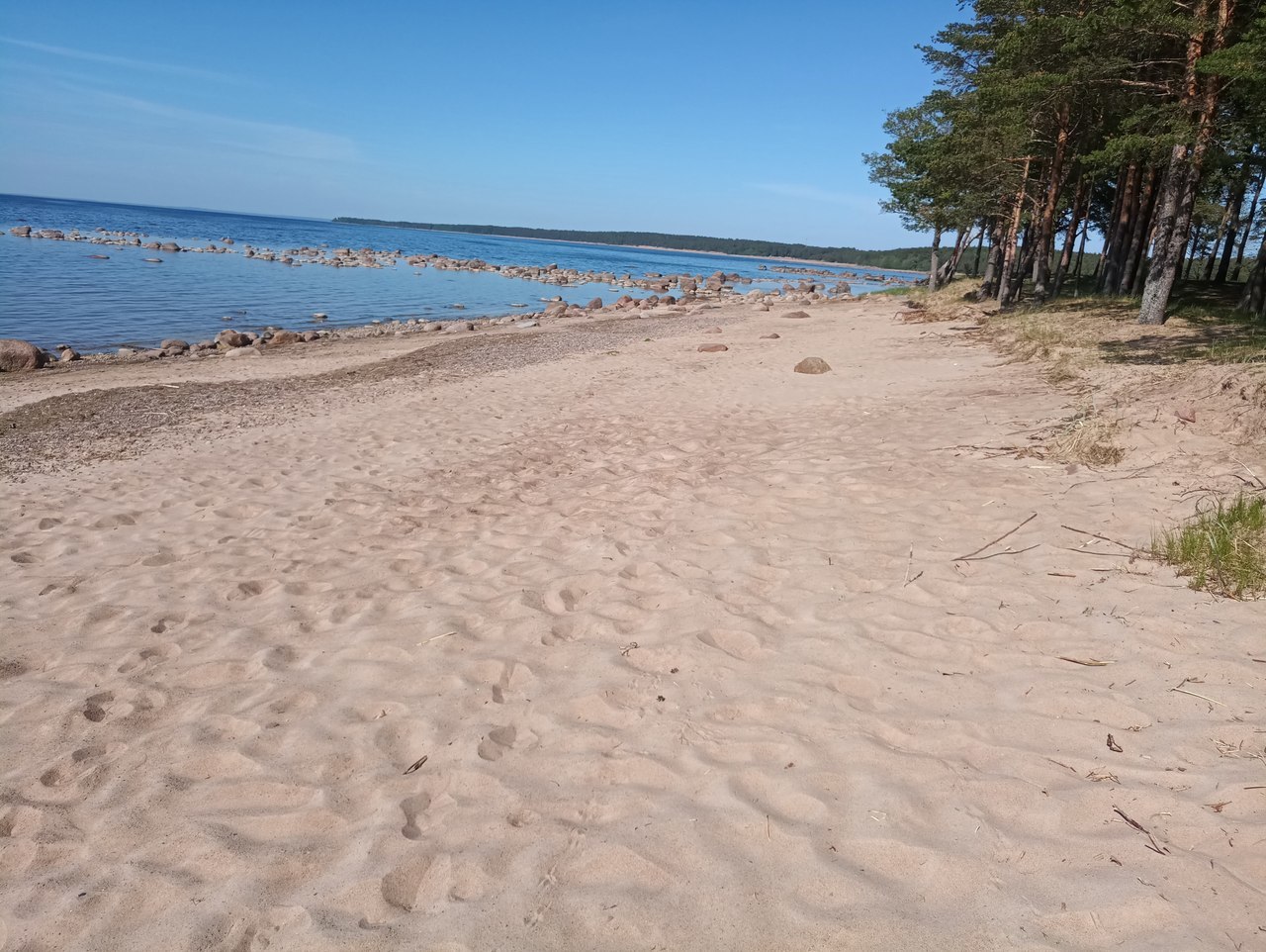 harvest raid - My, Cleaning, Garbage, Beach, First long post, Saturday clean-up, Initiative, Longpost, Saint Petersburg