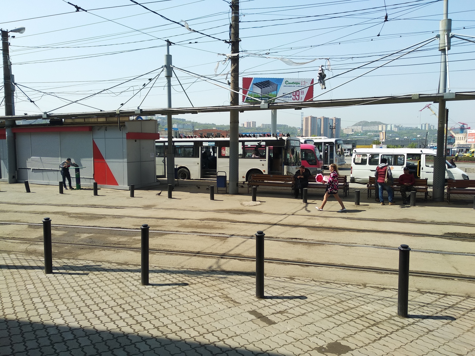 Let's hit the road - My, Pigeon, Vladivostok, Meadow, Bus, Longpost