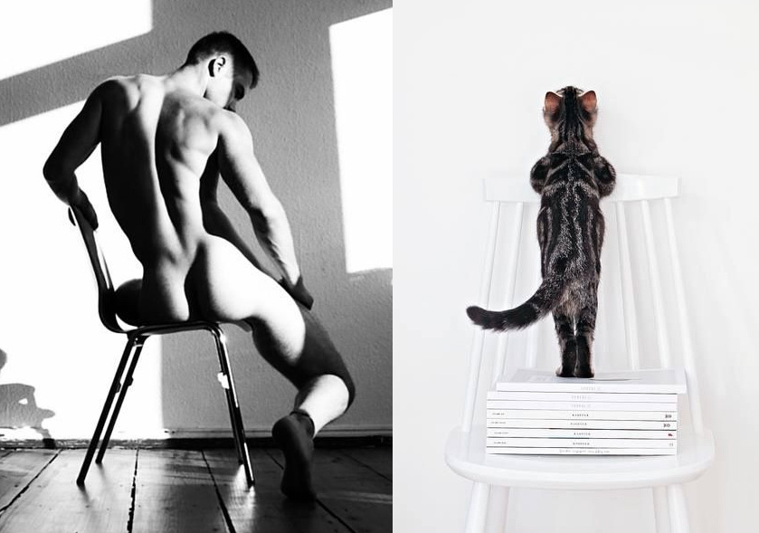 MEN LIKE CATS - Playgirl, Girls, A selection, cat, Men, Torso, Muscle, Guys, Longpost