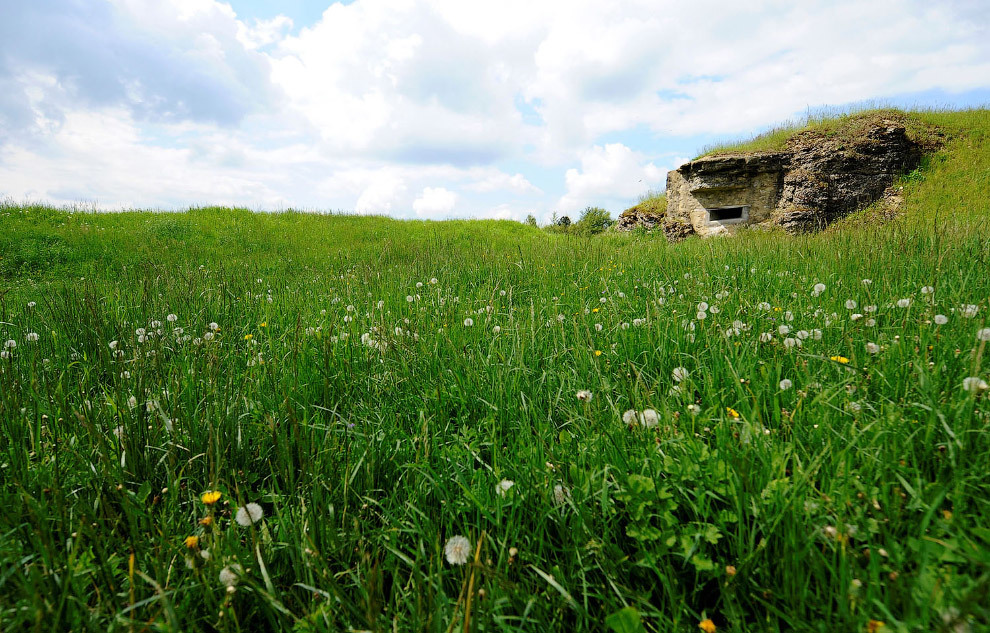 What the battlefields of the First World War look like a hundred years later. - World War I, Story, The photo, France, Belgium, Longpost