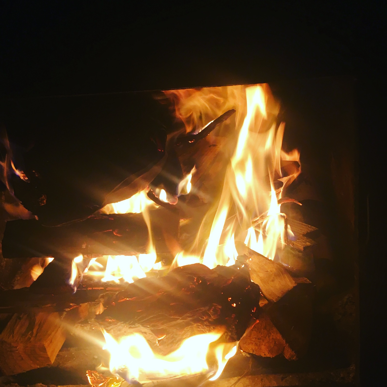 Fiery sunset and fiery horse - My, Fire, Bonfire, Sunset, beauty, Longpost