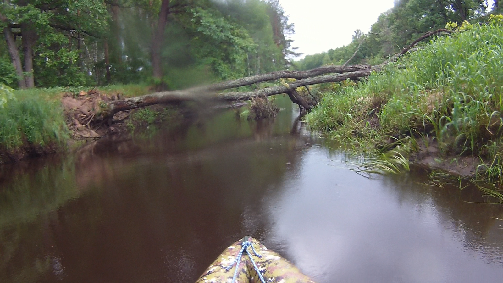 Rafting in the Moscow region Nerskaya river - My, Alloy, Hike, PVD, Relaxation, Longpost, GIF