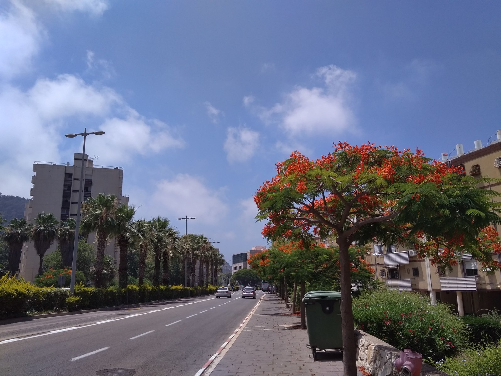 Some photos of Haifa. - My, Israel, Haifa, The photo, Longpost