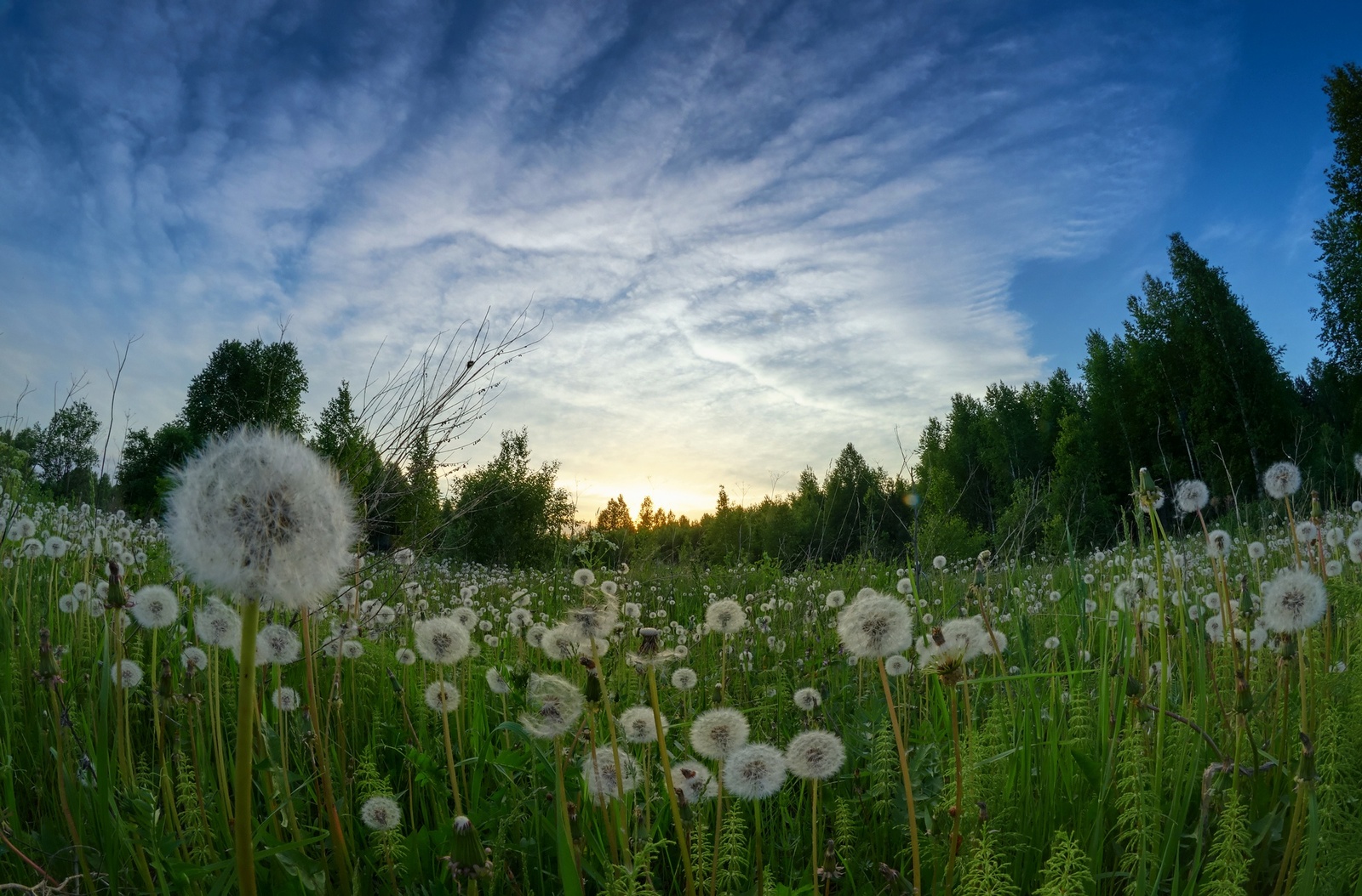 June evening in Siberia - My, Siberia, Nature, Sunset, HDR, Summer, Longpost, Prokopyevsk